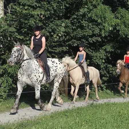 Hotel Gut Kramerhof Kirchdorf in Tirol